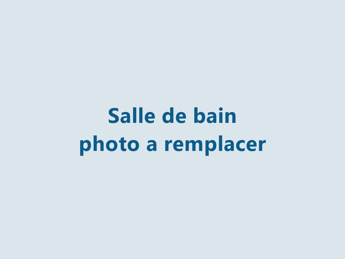 Salle de bain rénovée avec douche à l'italienne